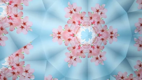 Kaleidoscope of Cherry Blossoms Stock Footage 327415423