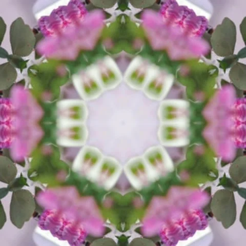 Kaleidoscope circular floral pattern Seamless geometric circles Stock Footage 227527608