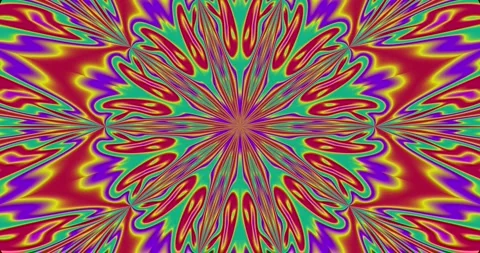 Kaleidoscope of colorful floral patterns Stock Footage 242586646