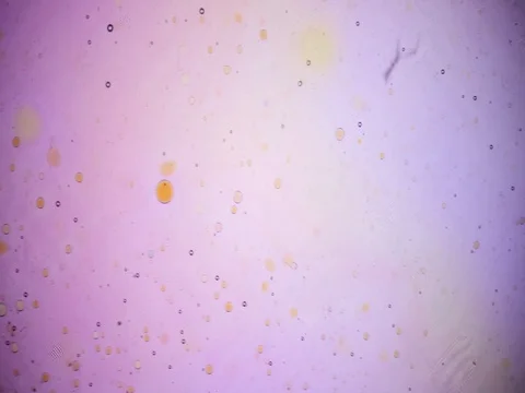 Kaleidoscope of Colors . Abstract Patterns of Ink in Water . Microscopic View Stock Footage