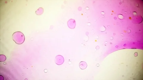 Kaleidoscope of Colors . Abstract Patterns of Ink in Water . Microscopic View Stock Footage