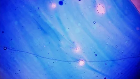 Kaleidoscope of Colors . Abstract Patterns of Ink in Water . Microscopic View Stock Footage