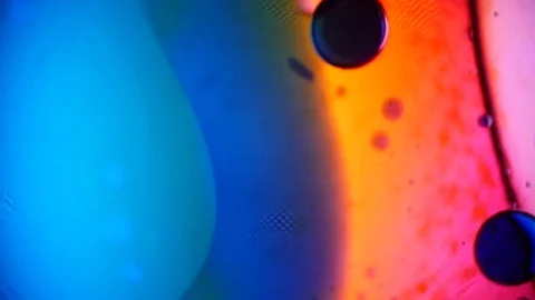 Kaleidoscope of Colors . Abstract Patterns of Ink in Water . Microscopic View Stock Footage 76981101
