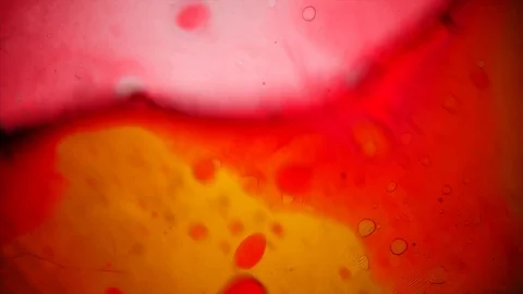 Kaleidoscope of Colors . Abstract Patterns of Ink in Water . Microscopic View Stock Footage