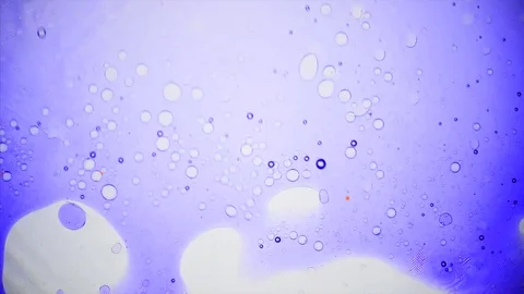 Kaleidoscope of Colors . Abstract Patterns of Ink in Water . Microscopic View Stock Footage