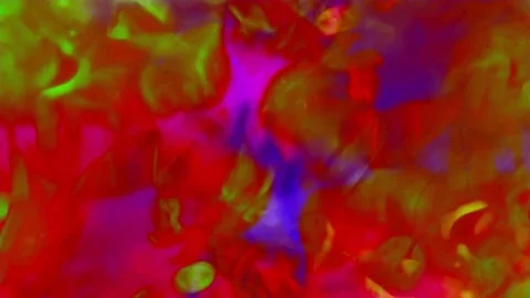 Kaleidoscope of Colors . Abstract Patterns.Microscopic View Stock Footage