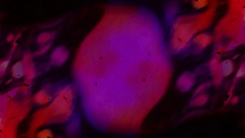 Kaleidoscope of Colors . Abstract Patterns.Microscopic View Stock Footage