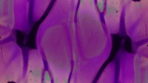 Kaleidoscope of Colors . Abstract Patterns.Microscopic View Stock Footage