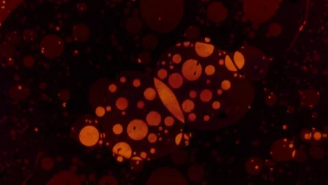 Kaleidoscope of Colors . Abstract Patterns.Microscopic View Stock Footage