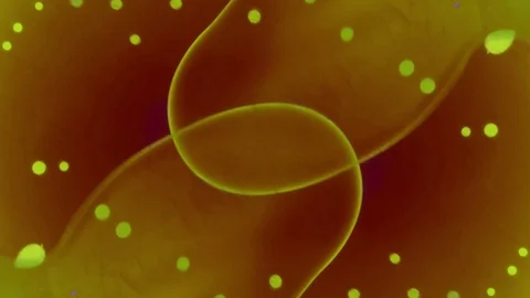 Kaleidoscope of Colors . Abstract Patterns.Microscopic View Stock Footage