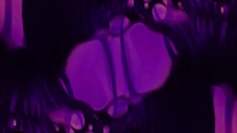 Kaleidoscope of Colors . Abstract Patterns.Microscopic View Stock Footage