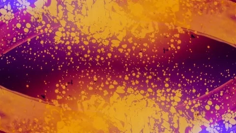 Kaleidoscope of Colors . Abstract Patterns.Microscopic View Stock Footage