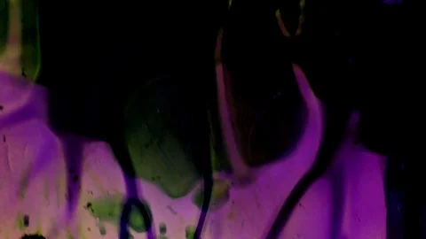 Kaleidoscope of Colors . Abstract Patterns.Microscopic View Stock Footage