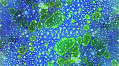 Kaleidoscope of Colors Video stock 71122888