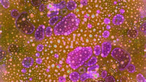Kaleidoscope of Colors Stock Footage 71123029