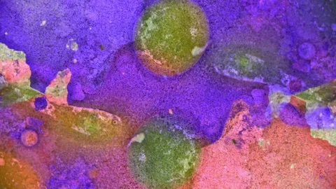 Kaleidoscope of Colors Stock Footage 71123701