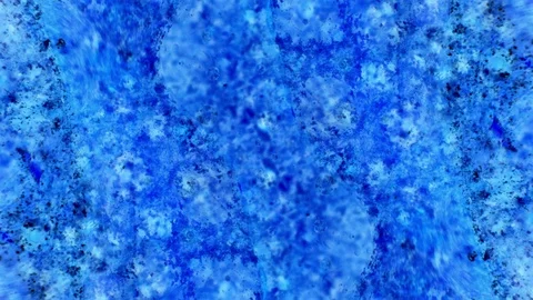 Kaleidoscope of Colors 스톡 동영상 71123907