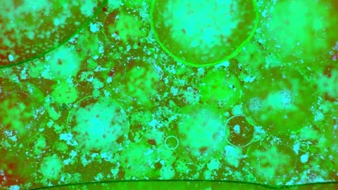 Kaleidoscope of Colors Video stock 71124883