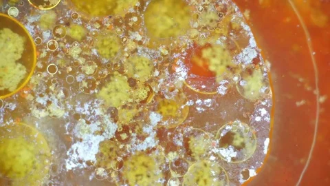 Kaleidoscope of Colors Vídeo Stock 71124970