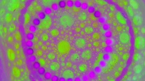 Kaleidoscope of Colors Видео 71126564