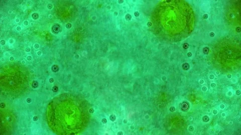 Kaleidoscope of Colors Stock Footage 71126813