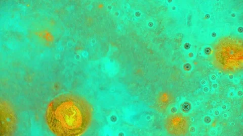 Kaleidoscope of Colors Video stock 71127653