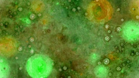 Kaleidoscope of Colors Stock Footage 71127984