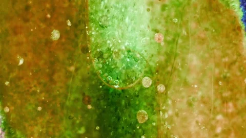 Kaleidoscope of Colors Stockbeeldmateriaal 71130053