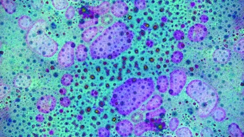 Kaleidoscope of Colors Stockbeeldmateriaal 71130727