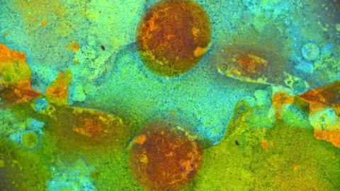 Kaleidoscope of Colors 動画素材 71130786