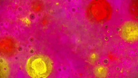 Kaleidoscope of Colors Stockbeeldmateriaal 71131904