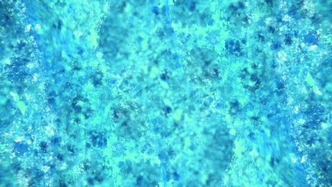 Kaleidoscope of Colors Stockbeeldmateriaal 71132235