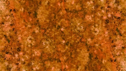 Kaleidoscope of Colors Video stock 71132328