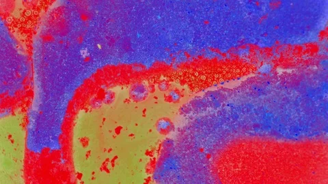 Kaleidoscope of Colors Stock Footage 71132960