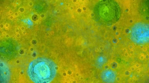 Kaleidoscope of Colors Видео 71134465