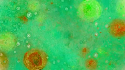 Kaleidoscope of Colors Видео 71134582