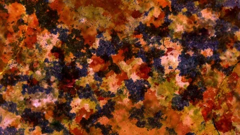 Kaleidoscope of Colors Stockbeeldmateriaal 71134680
