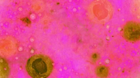 Kaleidoscope of Colors Видео 71135872