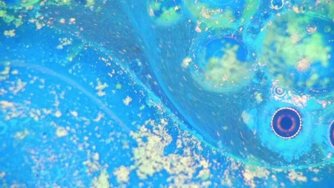 Kaleidoscope of Colors Video stock 71252141