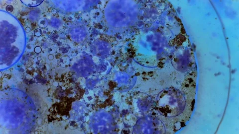 Kaleidoscope of Colors 動画素材 71256321