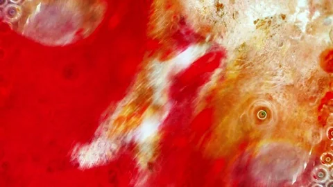Kaleidoscope of Colors Video stock 71635940