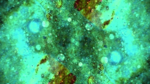 Kaleidoscope of Colors 스톡 동영상 71643588