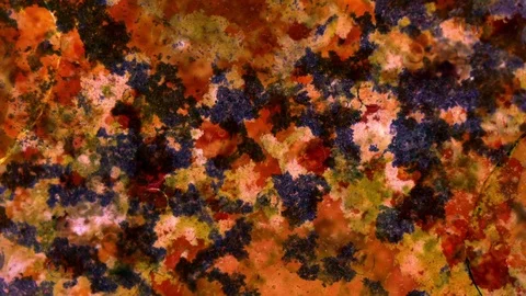 Kaleidoscope of Colors 스톡 동영상 71643814