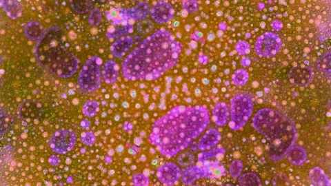Kaleidoscope of Colors Stockbeeldmateriaal 71644159