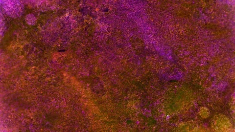 Kaleidoscope of Colors Stock Footage 71644209