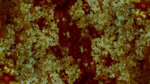 Kaleidoscope of Colors Video stock 71645218