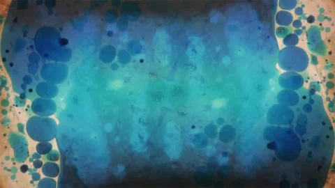Kaleidoscope of Colors Video stock 77126140
