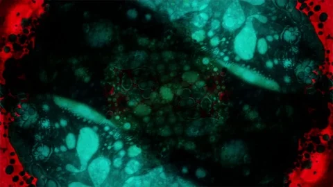 Kaleidoscope of Colors Stock Footage 77126330