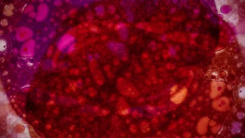 Kaleidoscope of Colors Vídeo Stock 77126359
