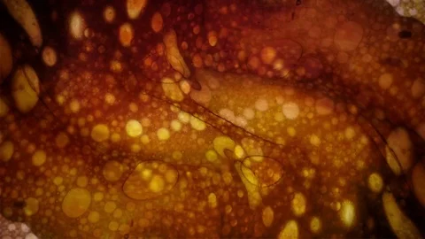 Kaleidoscope of Colors Video stock 77126502